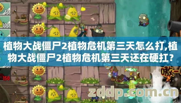 植物大战僵尸2植物危机第三天怎么打,植物大战僵尸2植物危机第三天还在硬扛?2026年这4个隐藏技巧让你多撑10分钟! 植物大战僵尸2植物危机第三天怎么打,植物大战僵尸2植物危机第三天还在硬扛?2026年这4个隐藏技巧让你多撑10分钟!