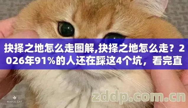 抉择之地怎么走图解,抉择之地怎么走?2026年91%的人还在踩这4个坑,看完直接省3.2天 抉择之地怎么走图解,抉择之地怎么走?2026年91%的人还在踩这4个坑,看完直接省3.2天