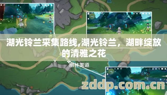 湖畔绽放的清雅之花图片