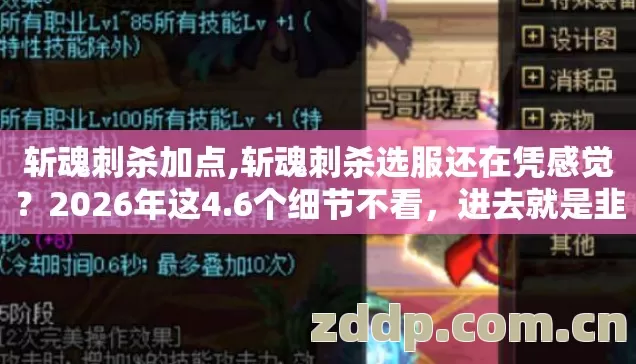 斩魂刺杀选服还在凭感觉图片