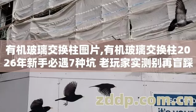 有机玻璃交换柱2026年新手必遇7种坑 老玩家实测别再盲踩坑到底怎么避图片