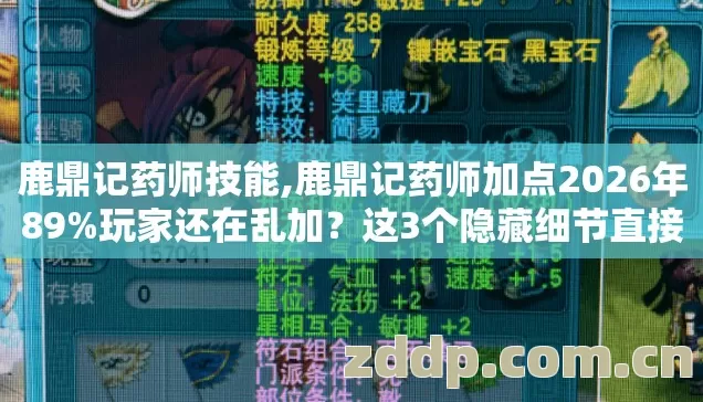 鹿鼎记药师加点2026年89图片