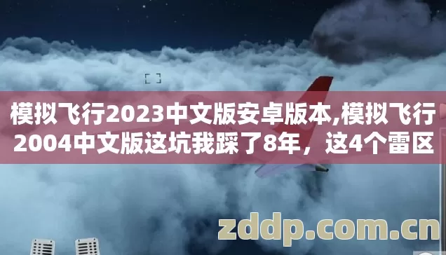 模拟飞行2004中文版这坑我踩了8年图片