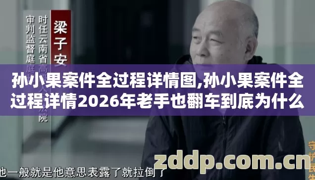 孙小果案件全过程详情图,孙小果案件全过程详情2026年老手也翻车到底为什么别踩坑