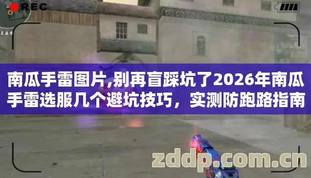 南瓜手雷图片,别再盲踩坑了2026年南瓜手雷选服几个避坑技巧，实测防跑路指南？