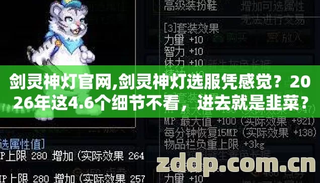 剑灵神灯官网,剑灵神灯选服凭感觉?2026年这4.6个细节不看,进去就是韭菜? 剑灵神灯官网,剑灵神灯选服凭感觉?2026年这4.6个细节不看,进去就是韭菜?