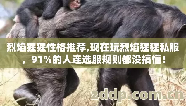 烈焰猩猩性格推荐,现在玩烈焰猩猩私服,91%的人连选服规则都没搞懂! 烈焰猩猩性格推荐,现在玩烈焰猩猩私服,91%的人连选服规则都没搞懂!