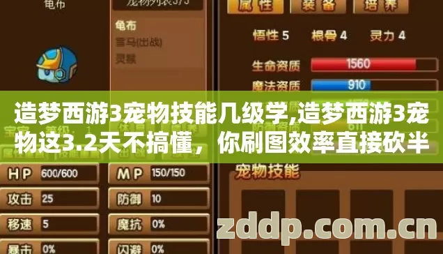 造梦西游3宠物技能几级学,造梦西游3宠物这3.2天不搞懂,你刷图效率直接砍半! 造梦西游3宠物技能几级学,造梦西游3宠物这3.2天不搞懂,你刷图效率直接砍半!