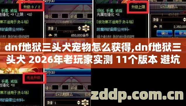 dnf地狱三头犬宠物怎么获得,dnf地狱三头犬 2026年老玩家实测 11个版本 避坑清单 看完直接选 dnf地狱三头犬宠物怎么获得,dnf地狱三头犬 2026年老玩家实测 11个版本 避坑清单 看完直接选