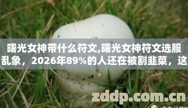 曙光女神带什么符文,曙光女神符文选服乱象,2026年89%的人还在被割韭菜,这3个坑你踩过几个? 曙光女神带什么符文,曙光女神符文选服乱象,2026年89%的人还在被割韭菜,这3个坑你踩过几个?