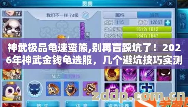 神武极品龟速蛮熊,别再盲踩坑了!2026年神武金钱龟选服,几个避坑技巧实测防跑路指南? 神武极品龟速蛮熊,别再盲踩坑了!2026年神武金钱龟选服,几个避坑技巧实测防跑路指南?