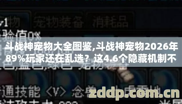 斗战神宠物大全图鉴,斗战神宠物2026年89%玩家还在乱选?这4.6个隐藏机制不看血亏 斗战神宠物大全图鉴,斗战神宠物2026年89%玩家还在乱选?这4.6个隐藏机制不看血亏