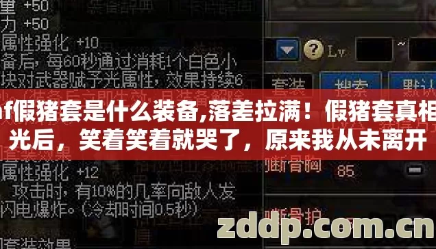 dnf假猪套是什么装备,落差拉满！假猪套真相曝光后，笑着笑着就哭了，原来我从未离开