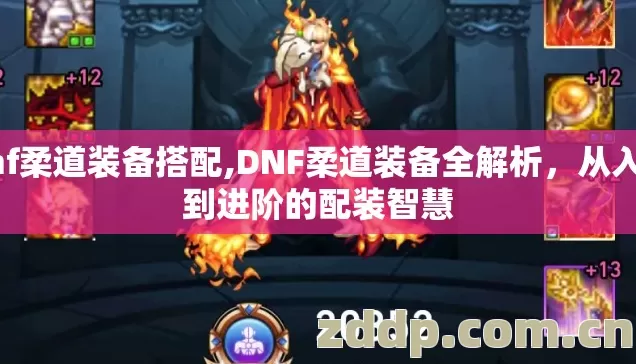 dnf柔道装备搭配,DNF柔道装备全解析，从入门到进阶的配装智慧