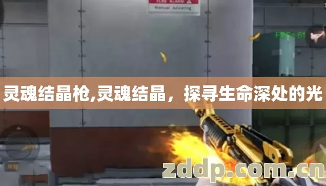 灵魂结晶枪,灵魂结晶,探寻生命深处的光 灵魂结晶枪,灵魂结晶,探寻生命深处的光