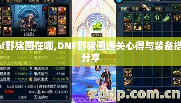 dnf野猪图在哪,DNF野猪图通关心得与装备搭配分享
