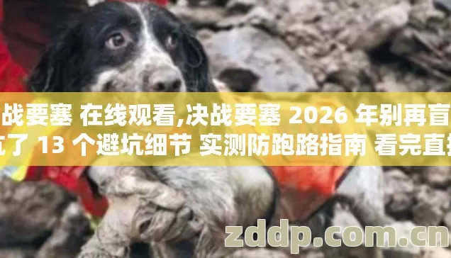 决战要塞 在线观看,决战要塞 2026 年别再盲踩坑了 13 个避坑细节 实测防跑路指南 看完直接选 决战要塞 在线观看,决战要塞 2026 年别再盲踩坑了 13 个避坑细节 实测防跑路指南 看完直接选