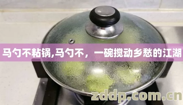 马勺不粘锅,马勺不，一碗搅动乡愁的江湖