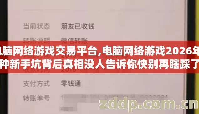 电脑网络游戏交易平台,电脑网络游戏2026年7种新手坑背后真相没人告诉你快别再瞎踩了