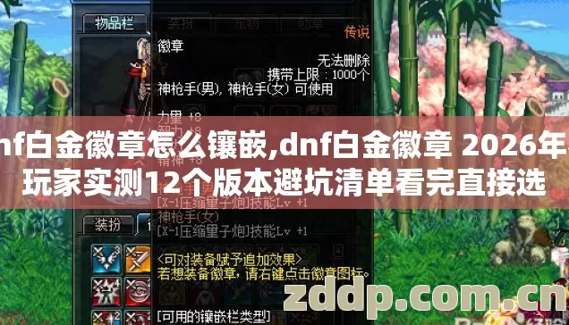 dnf白金徽章怎么镶嵌,dnf白金徽章 2026年老玩家实测12个版本避坑清单看完直接选
