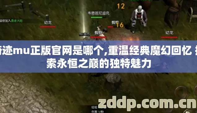 奇迹mu正版官网是哪个,重温经典魔幻回忆 探索永恒之巅的独特魅力 奇迹mu正版官网是哪个,重温经典魔幻回忆 探索永恒之巅的独特魅力