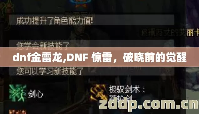 dnf金雷龙,DNF 惊雷，破晓前的觉醒