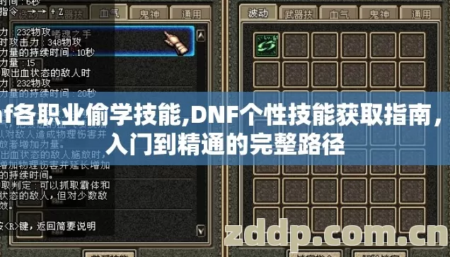 dnf各职业偷学技能,DNF个性技能获取指南，从入门到精通的完整路径