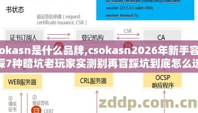 csokasn是什么品牌,csokasn2026年新手容易踩7种暗坑老玩家实测别再盲踩坑到底怎么选 csokasn是什么品牌,csokasn2026年新手容易踩7种暗坑老玩家实测别再盲踩坑到底怎么选