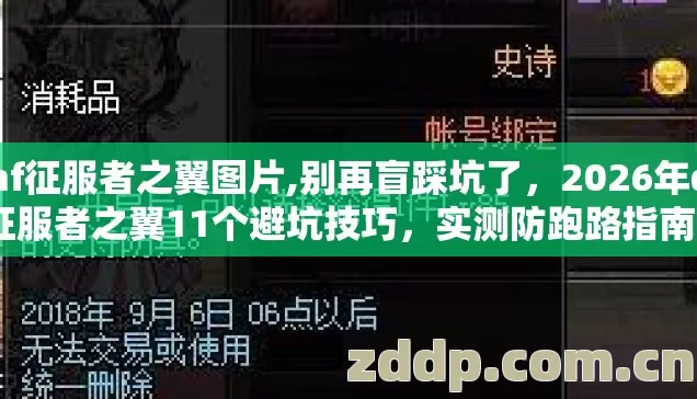 dnf征服者之翼图片,别再盲踩坑了，2026年dnf征服者之翼11个避坑技巧，实测防跑路指南看完直接选