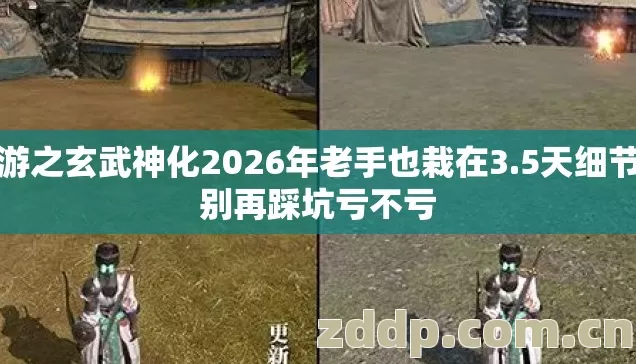 网游之玄武神化2026年老手也栽在3.5天细节上别再踩坑亏不亏 网游之玄武神化2026年老手也栽在3.5天细节上别再踩坑亏不亏