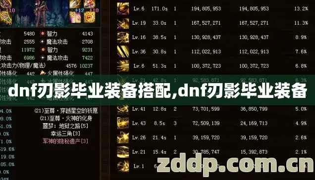 dnf刃影毕业装备搭配,dnf刃影毕业装备