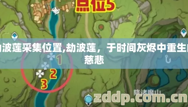 劫波莲采集位置,劫波莲，于时间灰烬中重生的慈悲