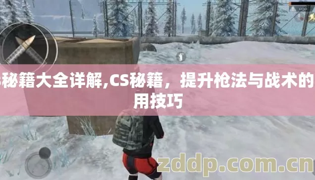 cs秘籍大全详解,CS秘籍，提升枪法与战术的实用技巧