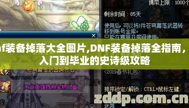 dnf装备掉落大全图片,DNF装备掉落全指南,从入门到毕业的史诗级攻略 dnf装备掉落大全图片,DNF装备掉落全指南,从入门到毕业的史诗级攻略