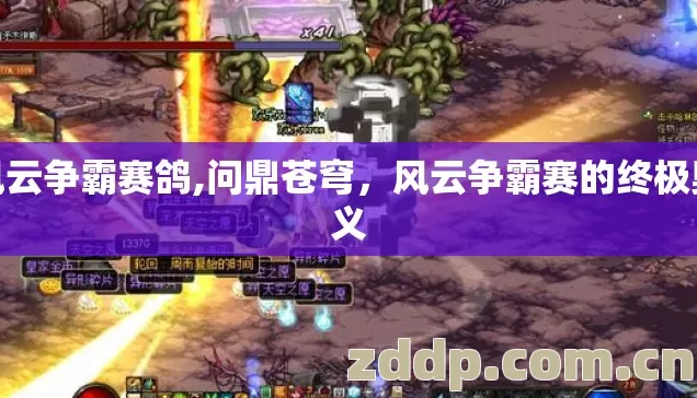 风云争霸赛鸽,问鼎苍穹，风云争霸赛的终极奥义