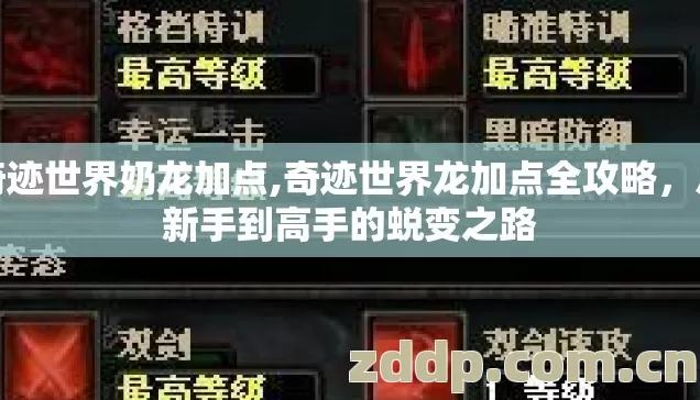 奇迹世界奶龙加点,奇迹世界龙加点全攻略,从新手到高手的蜕变之路 奇迹世界奶龙加点,奇迹世界龙加点全攻略,从新手到高手的蜕变之路