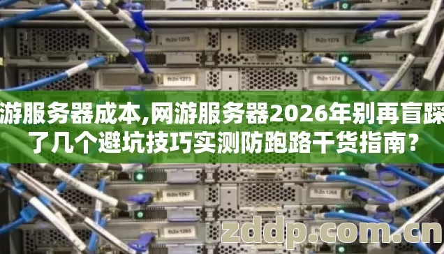 网游服务器成本,网游服务器2026年别再盲踩坑了几个避坑技巧实测防跑路干货指南？
