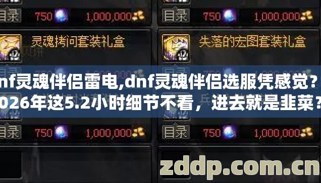 dnf灵魂伴侣雷电,dnf灵魂伴侣选服凭感觉？2026年这5.2小时细节不看，进去就是韭菜？