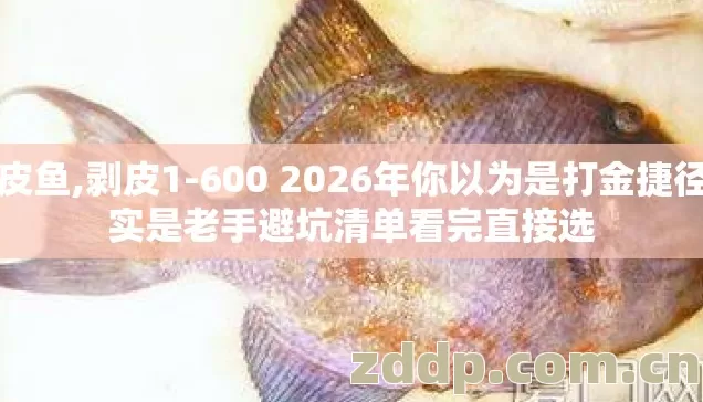 剥皮鱼,剥皮1-600 2026年你以为是打金捷径其实是老手避坑清单看完直接选 剥皮鱼,剥皮1-600 2026年你以为是打金捷径其实是老手避坑清单看完直接选