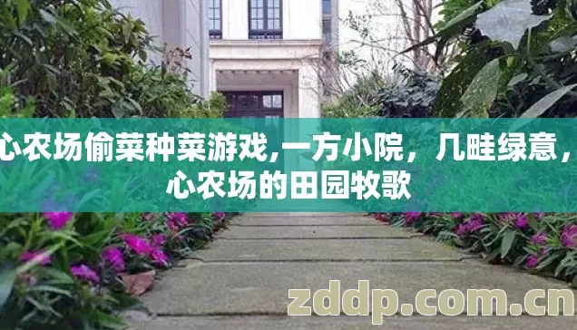 开心农场偷菜种菜游戏,一方小院,几畦绿意,开心农场的田园牧歌 开心农场偷菜种菜游戏,一方小院,几畦绿意,开心农场的田园牧歌