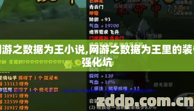 网游之数据为王小说,网游之数据为王里的装备强化坑