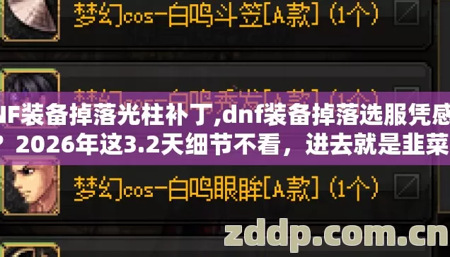 DNF装备掉落光柱补丁,dnf装备掉落选服凭感觉？2026年这3.2天细节不看，进去就是韭菜？