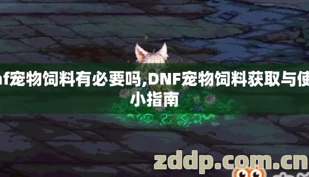 dnf宠物饲料有必要吗,DNF宠物饲料获取与使用小指南