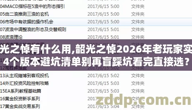 韶光之悼有什么用,韶光之悼2026年老玩家实测4个版本避坑清单别再盲踩坑看完直接选？