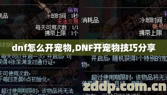 dnf怎么开宠物,DNF开宠物技巧分享