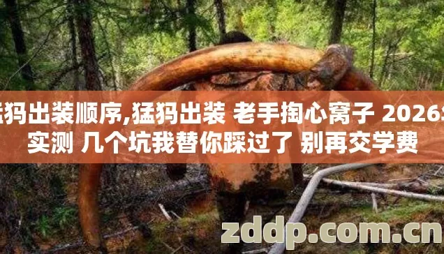 猛犸出装顺序,猛犸出装 老手掏心窝子 2026年实测 几个坑我替你踩过了 别再交学费