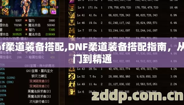 dnf柔道装备搭配,DNF柔道装备搭配指南,从入门到精通 dnf柔道装备搭配,DNF柔道装备搭配指南,从入门到精通