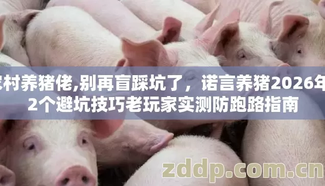 农村养猪佬,别再盲踩坑了，诺言养猪2026年12个避坑技巧老玩家实测防跑路指南