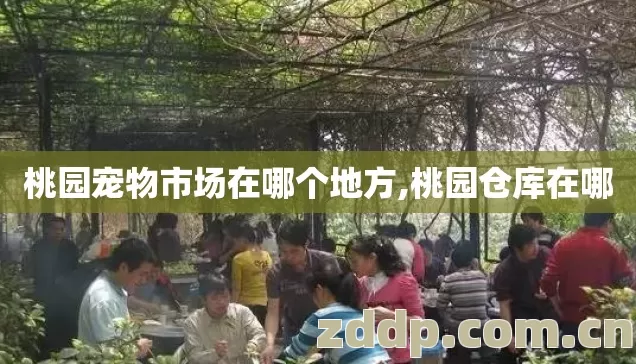 桃园宠物市场在哪个地方,桃园仓库在哪 桃园宠物市场在哪个地方,桃园仓库在哪