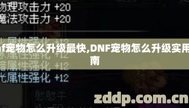 dnf宠物怎么升级最快,DNF宠物怎么升级实用指南 dnf宠物怎么升级最快,DNF宠物怎么升级实用指南